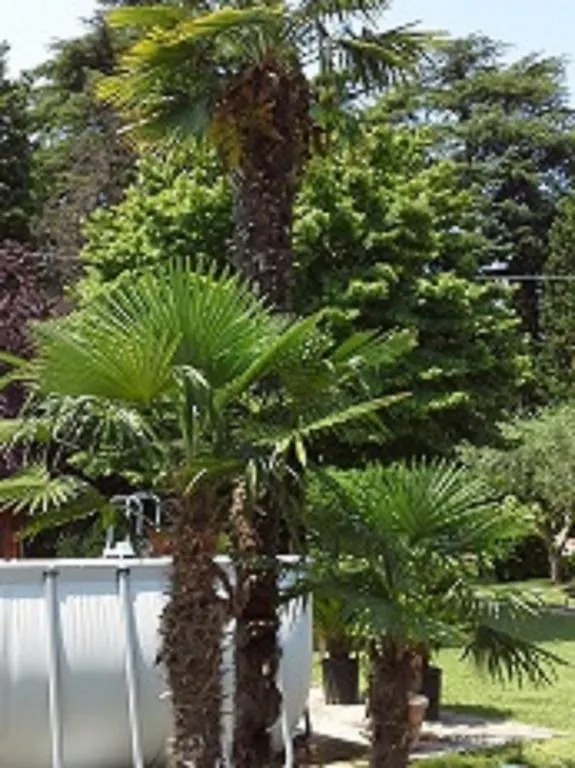 Relais Villa Lézard Lazise Bed & Breakfast